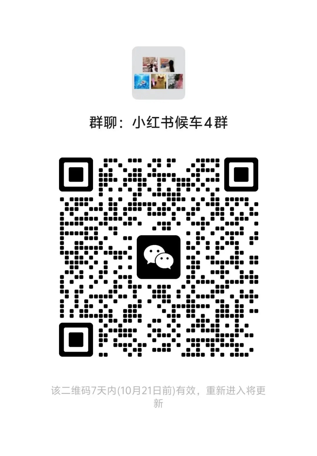 小红书女候车4群