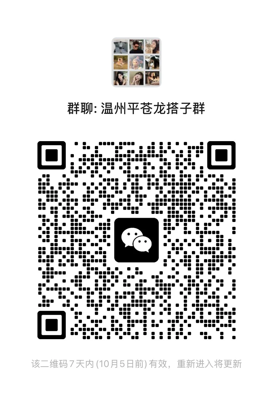 温州平苍龙搭子群