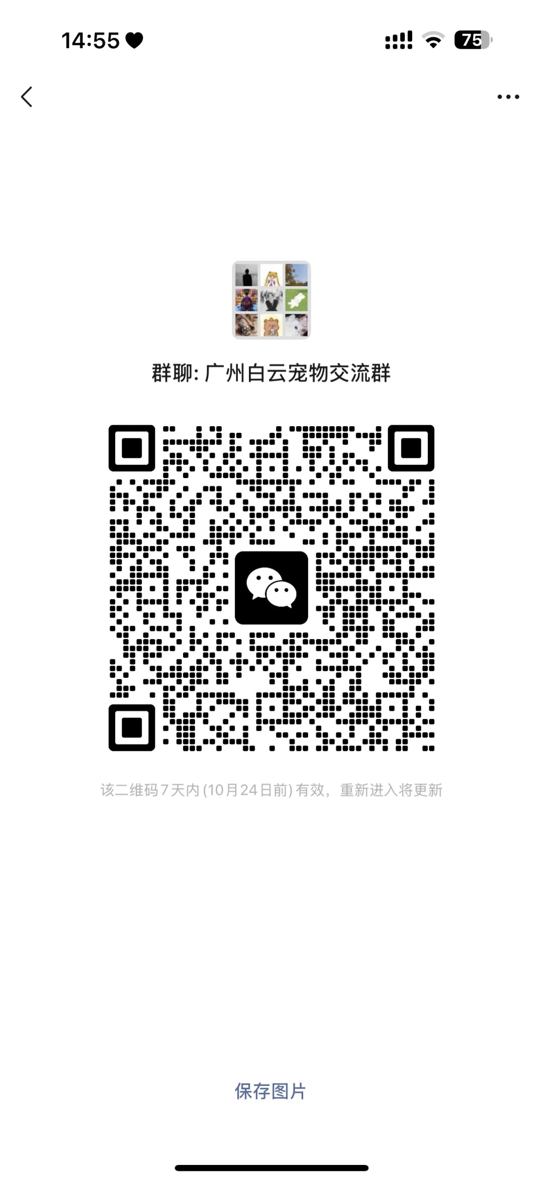 广州白云宠物交流