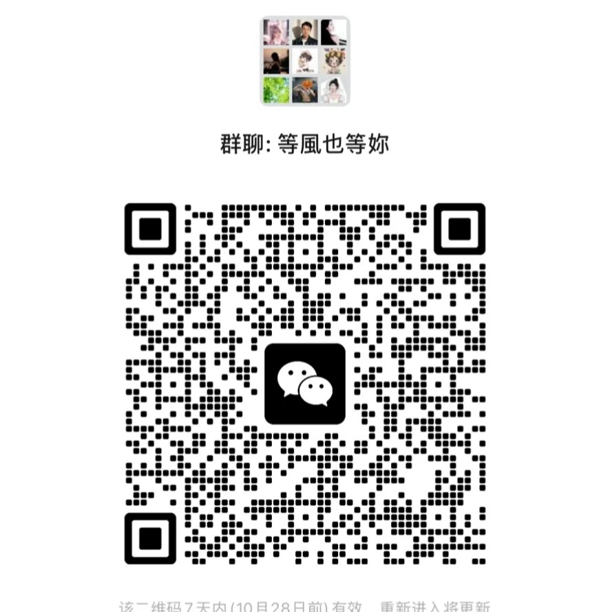 等风也等你群