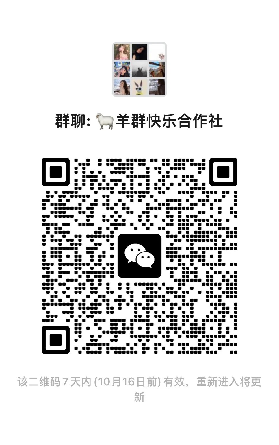 羊群快乐合作社