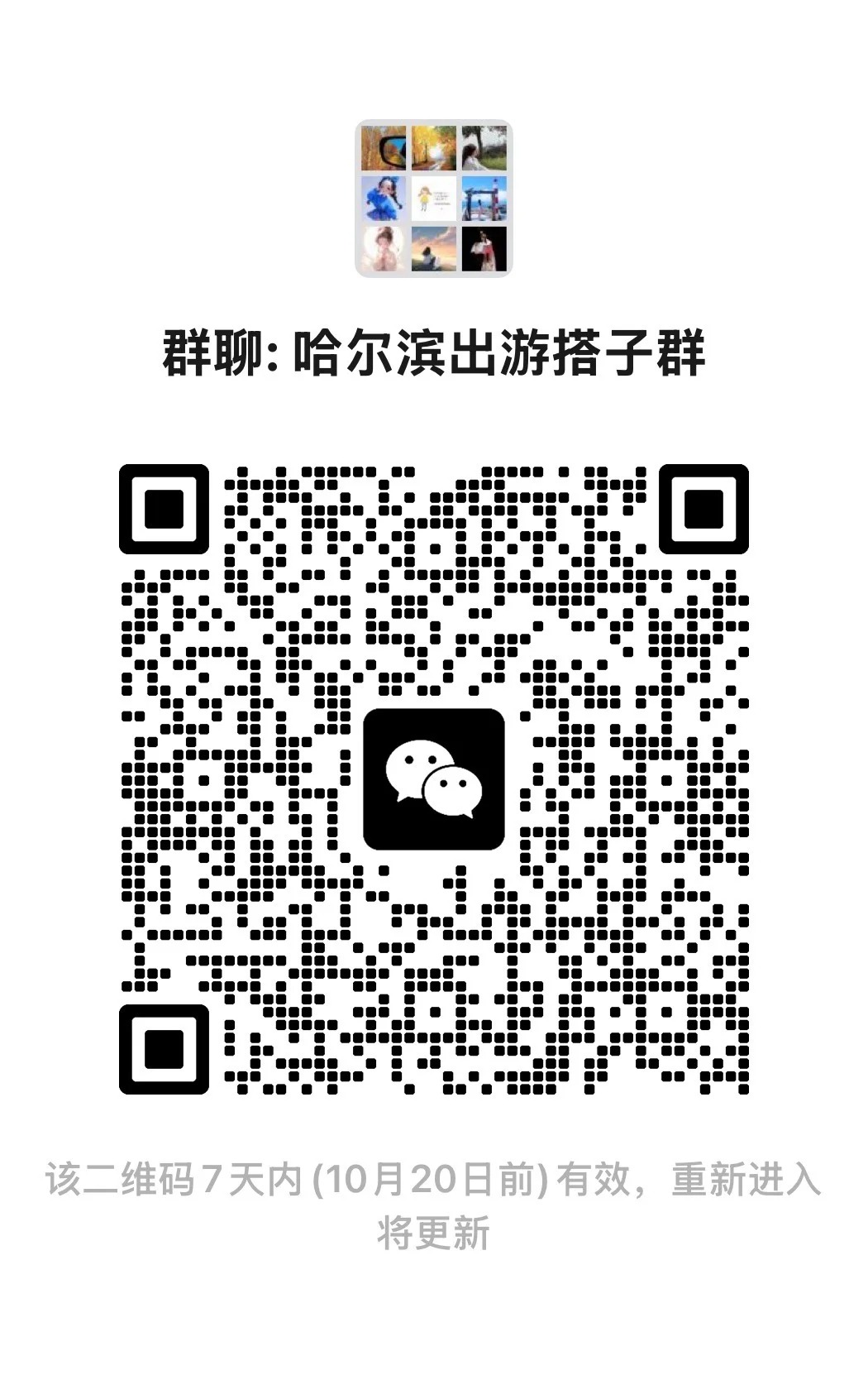 哈尔滨出游搭子.