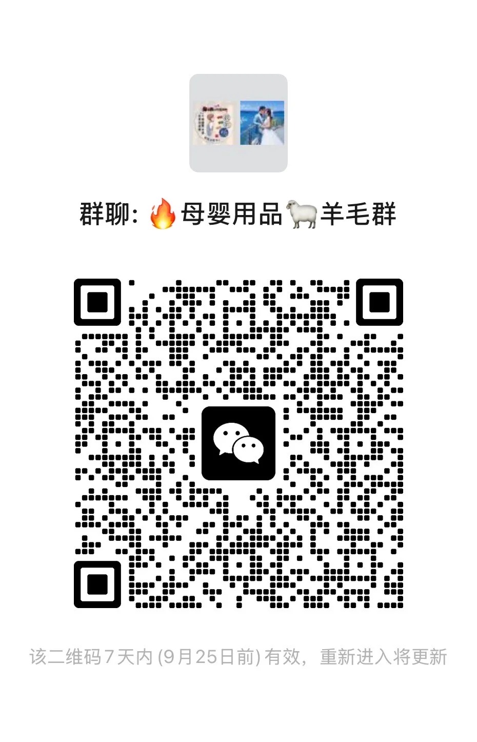 母婴用品羊毛群