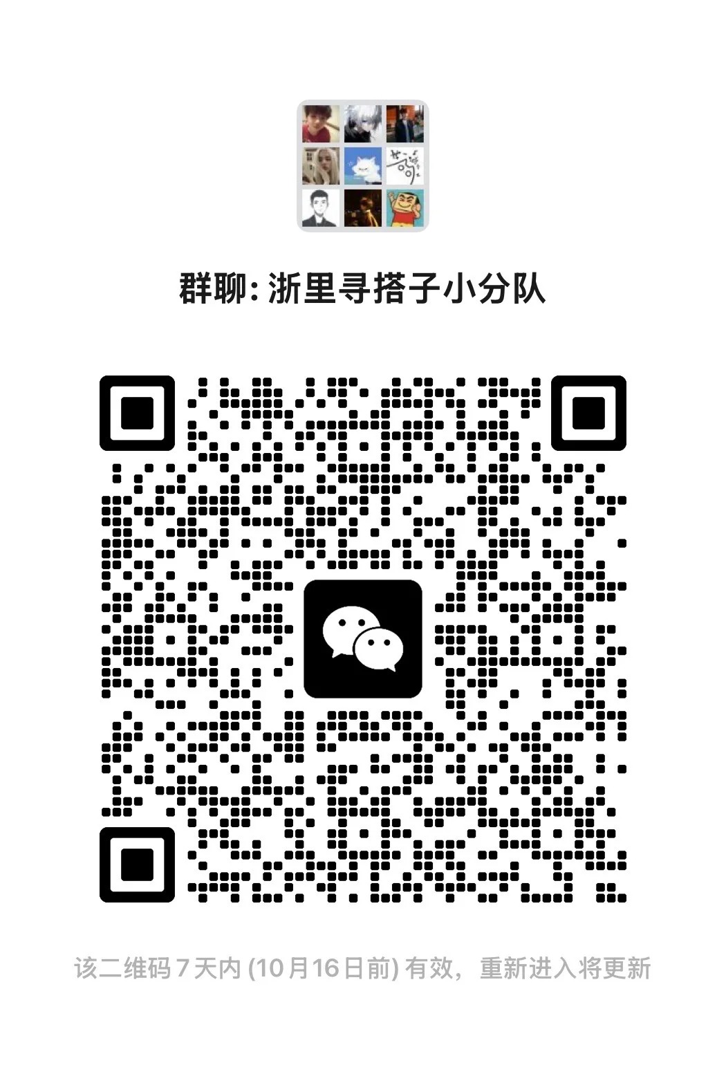 浙里寻搭子小分队