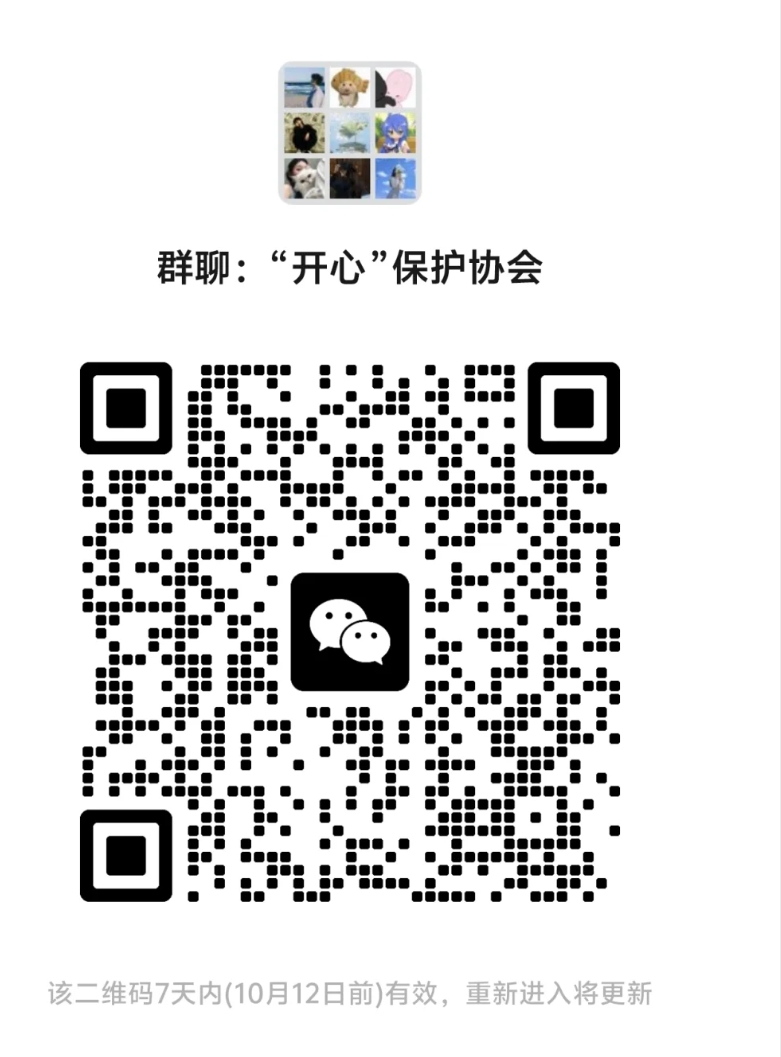‘开心’保护协会