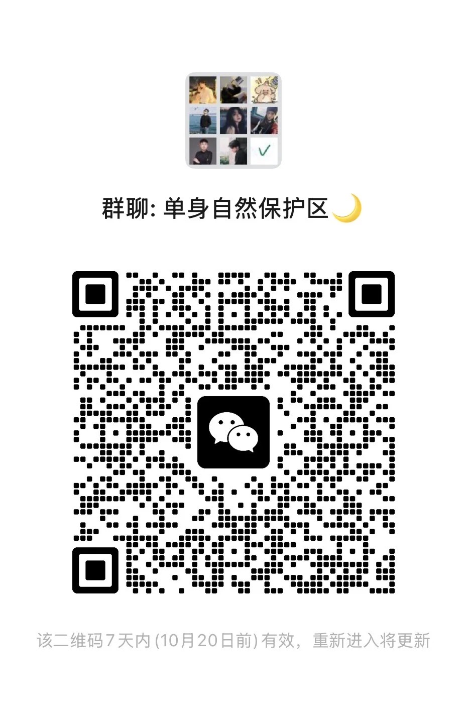 摸鱼聊天！ 摸鱼群