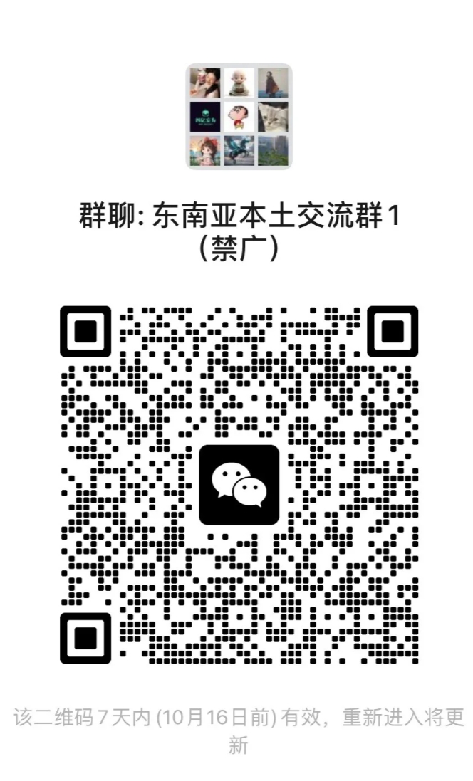 东南亚本土交流群