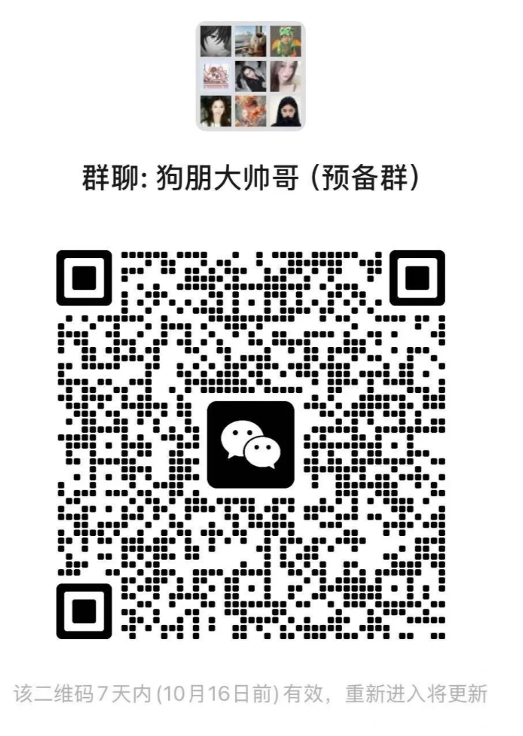 狗朋大帅哥（预备群）