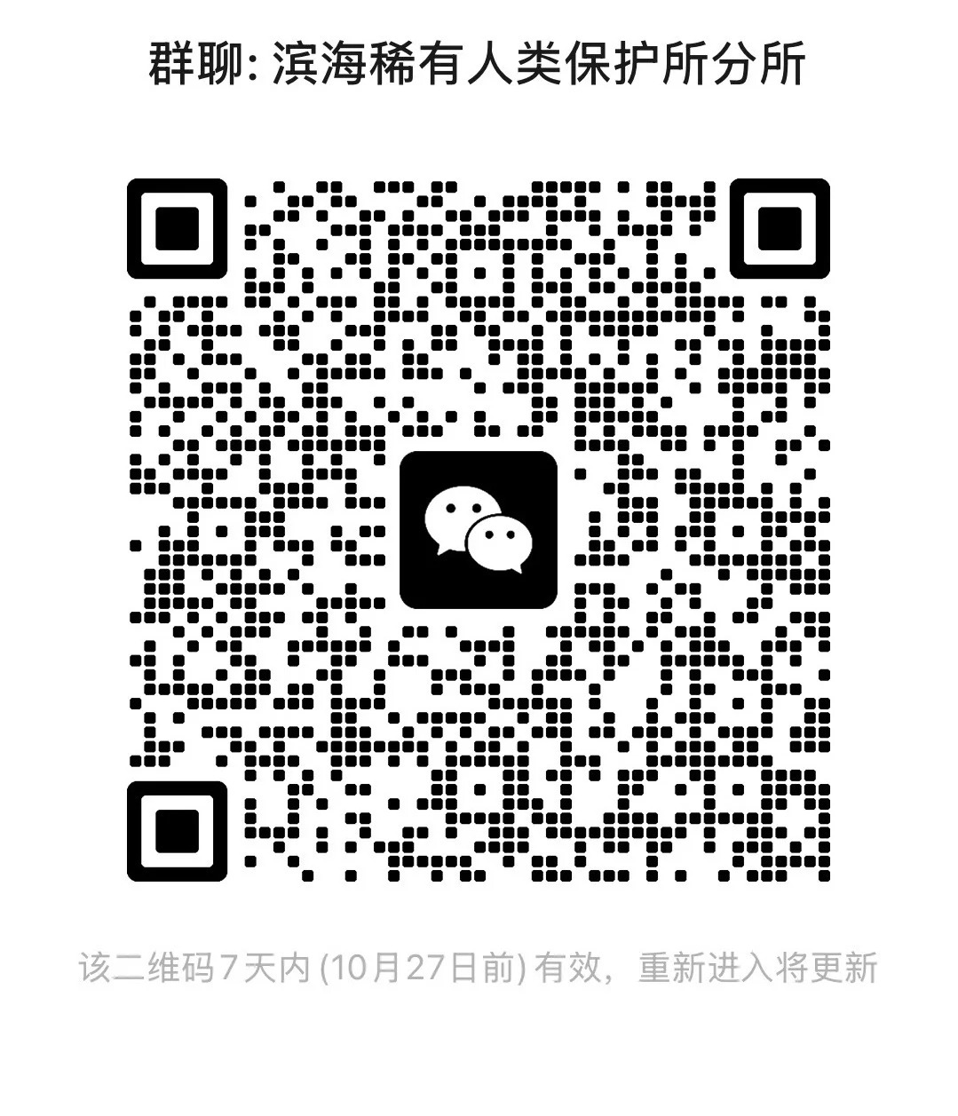 滨海新区娱乐聊天打字群