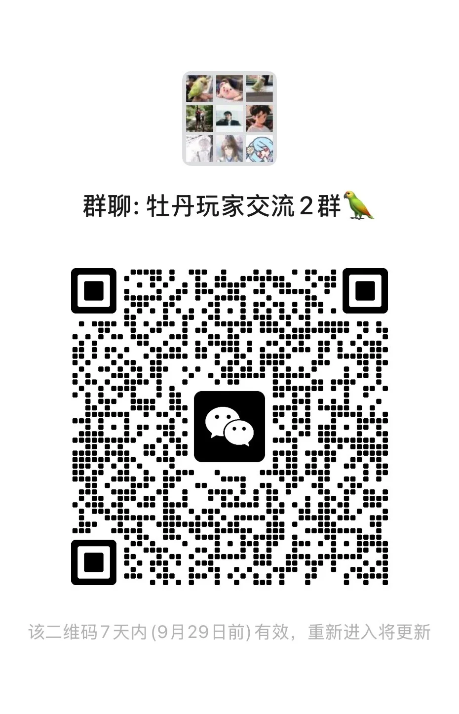 牡丹玩家交流2群