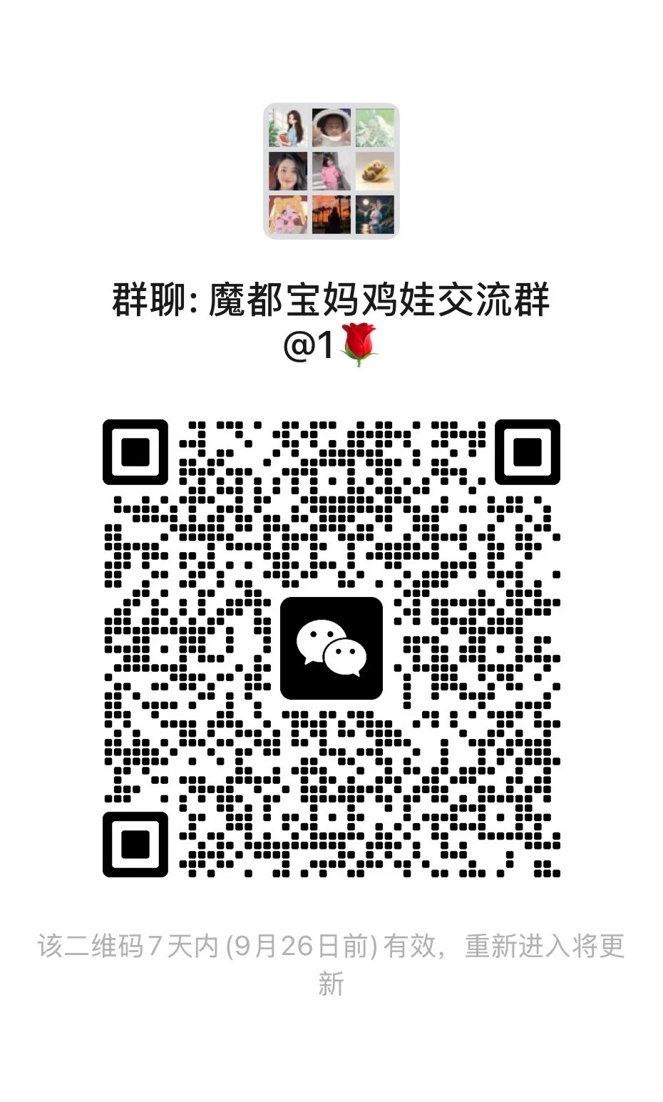 魔都宝妈鸡娃群