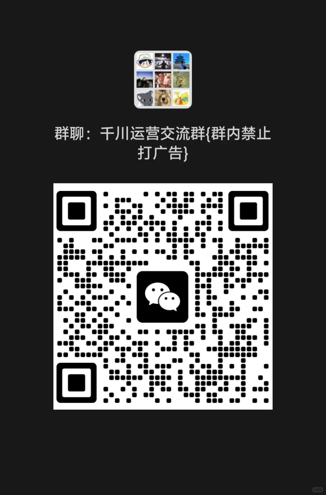 千川运营交流群