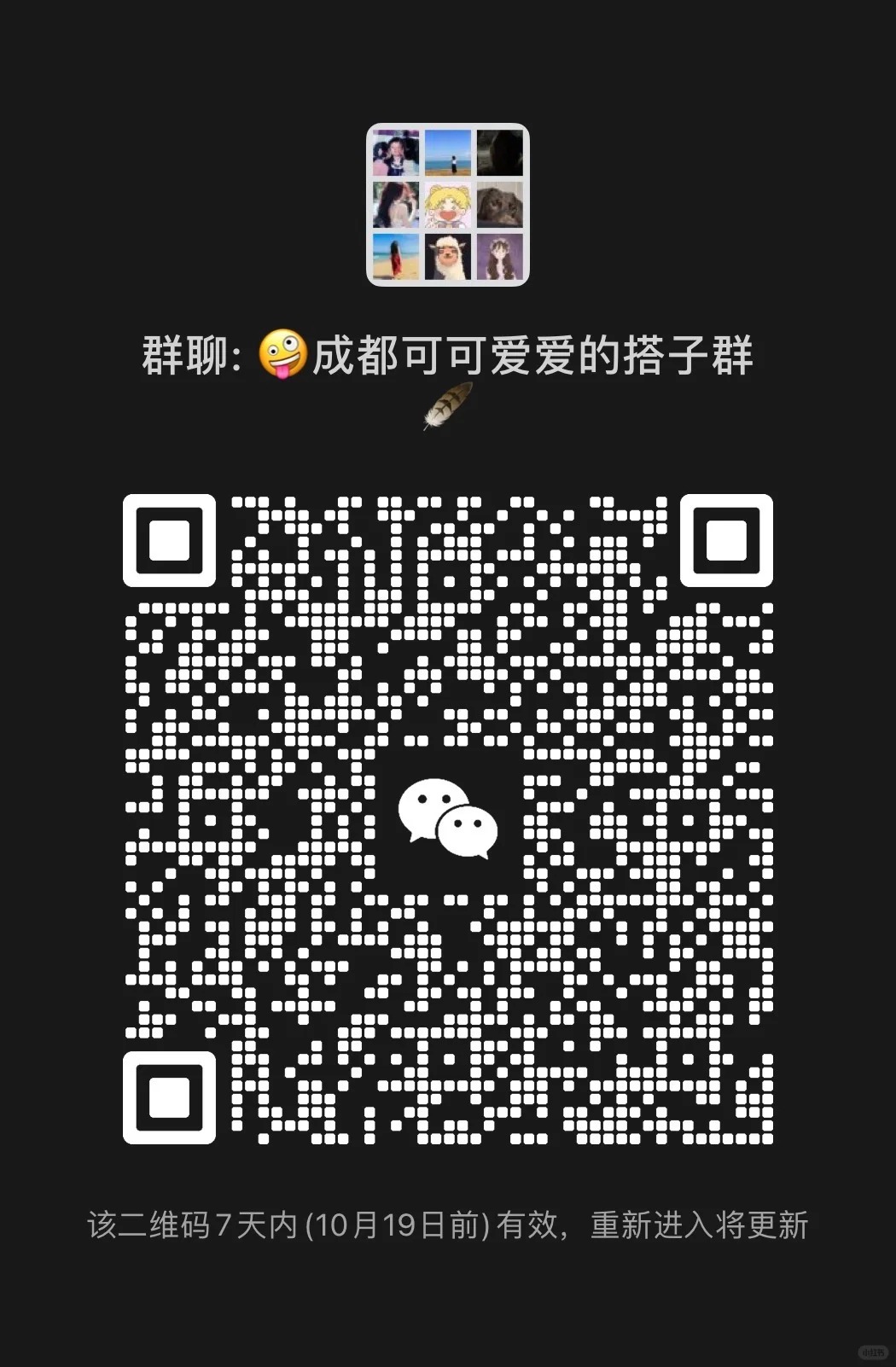 成都可可爱爱的搭子