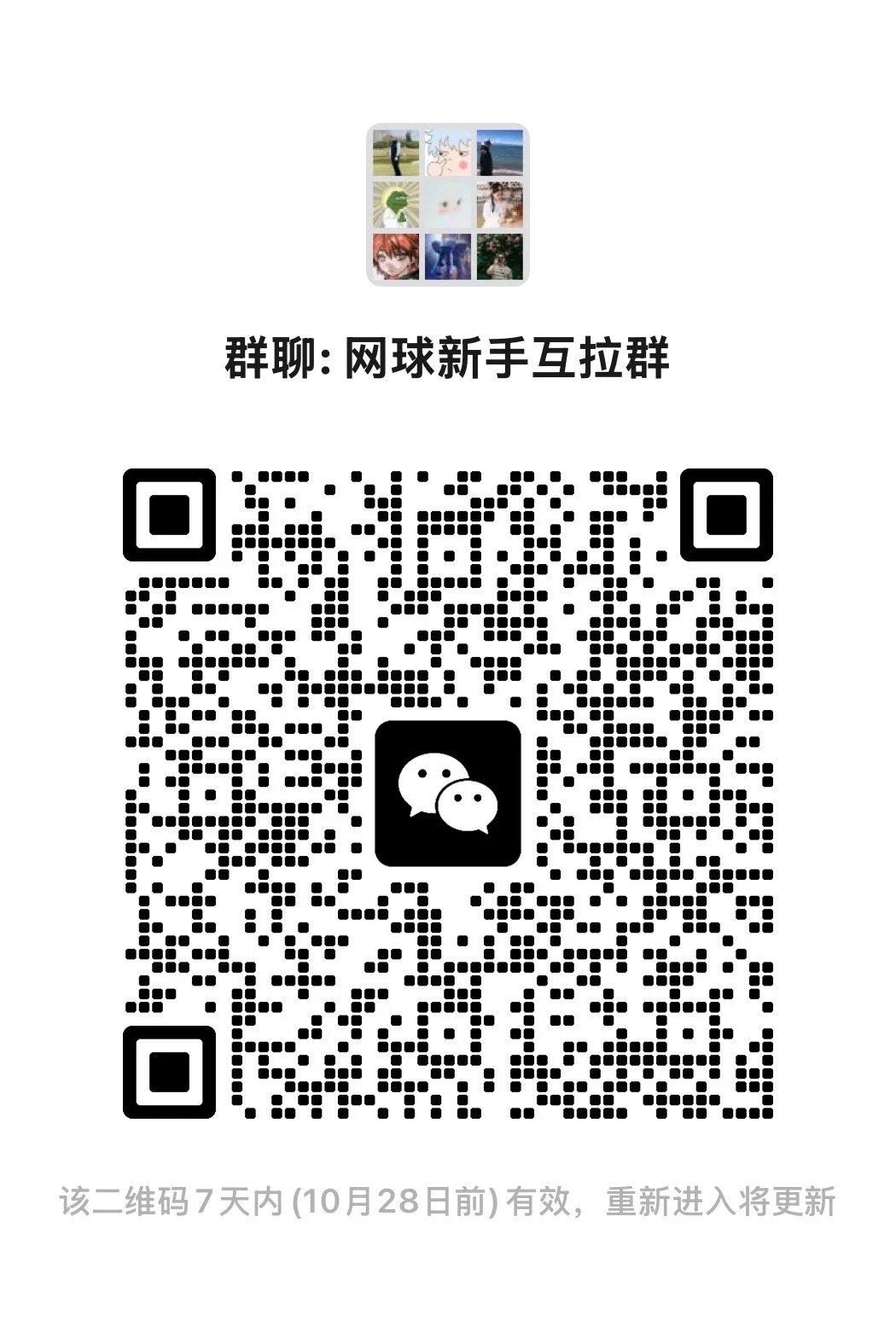 天津网球新手2.0左右互拉群