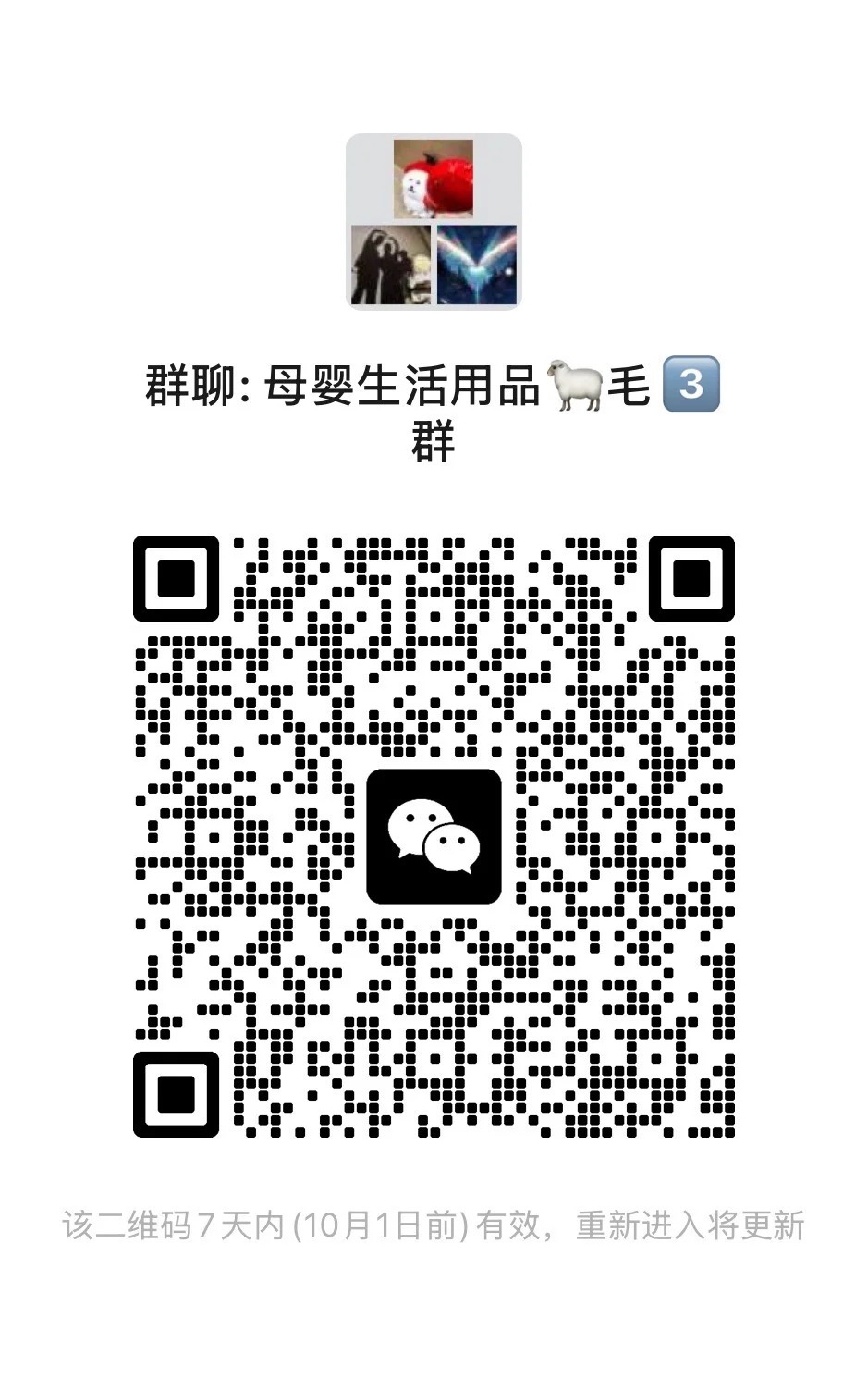 这个群有点东西