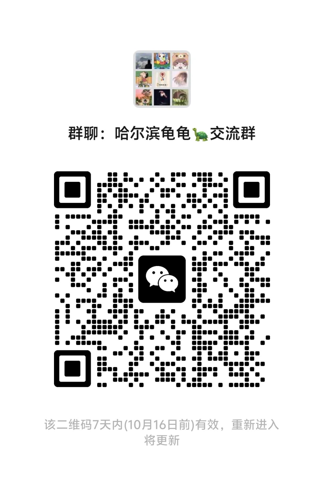 哈尔滨乌龟交流群