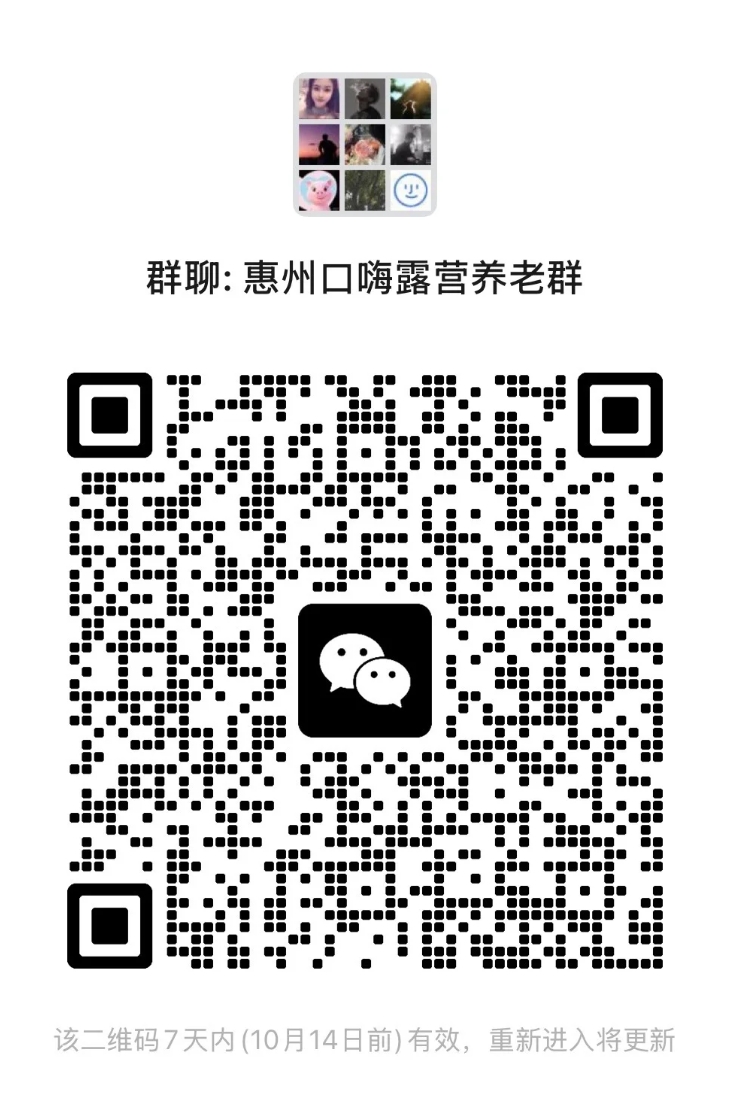 惠州口嗨露营养老群