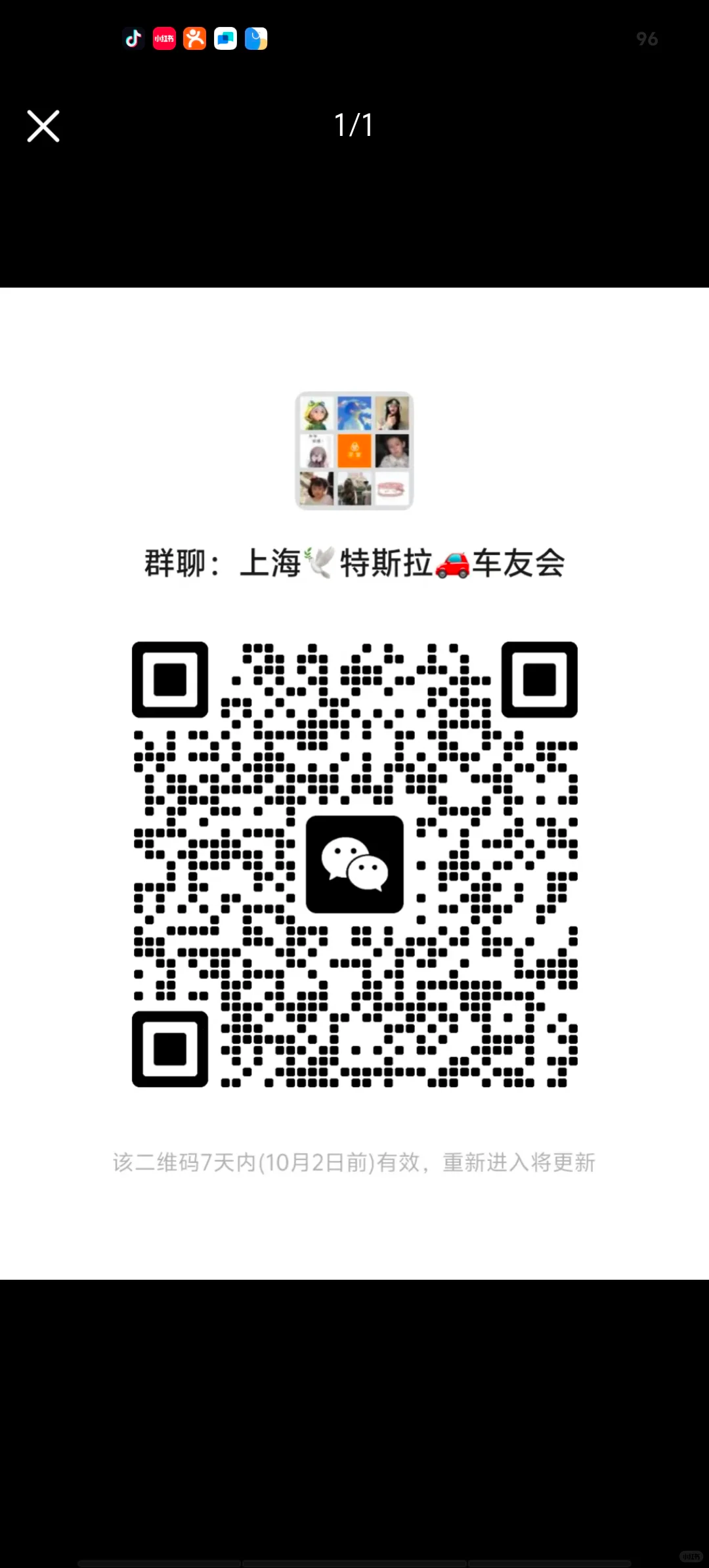 上海特斯拉车友群