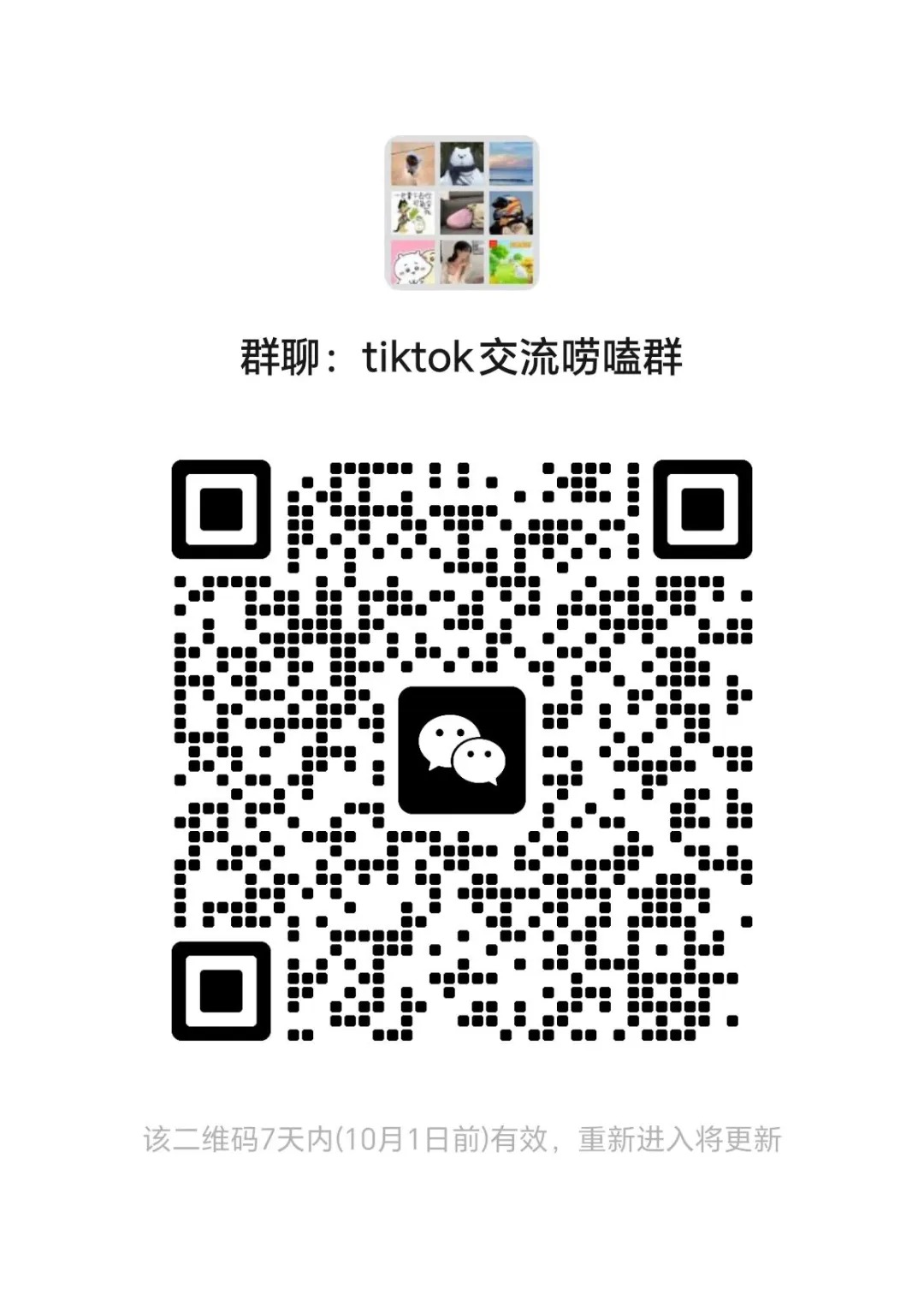 tiktok交流唠嗑群 .