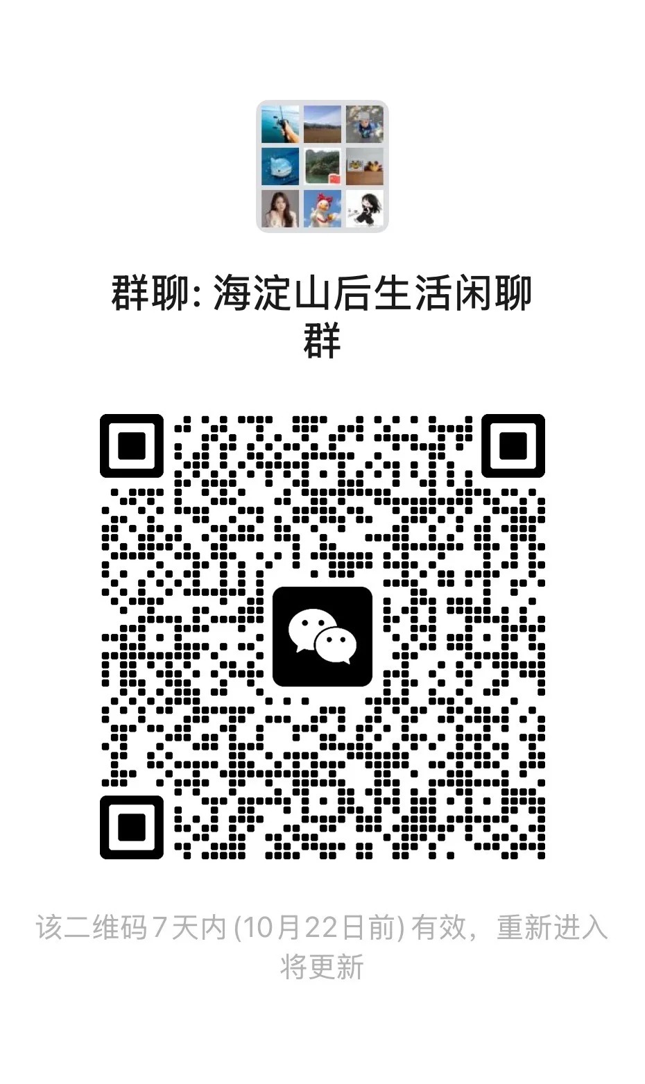 海淀山后闲聊群