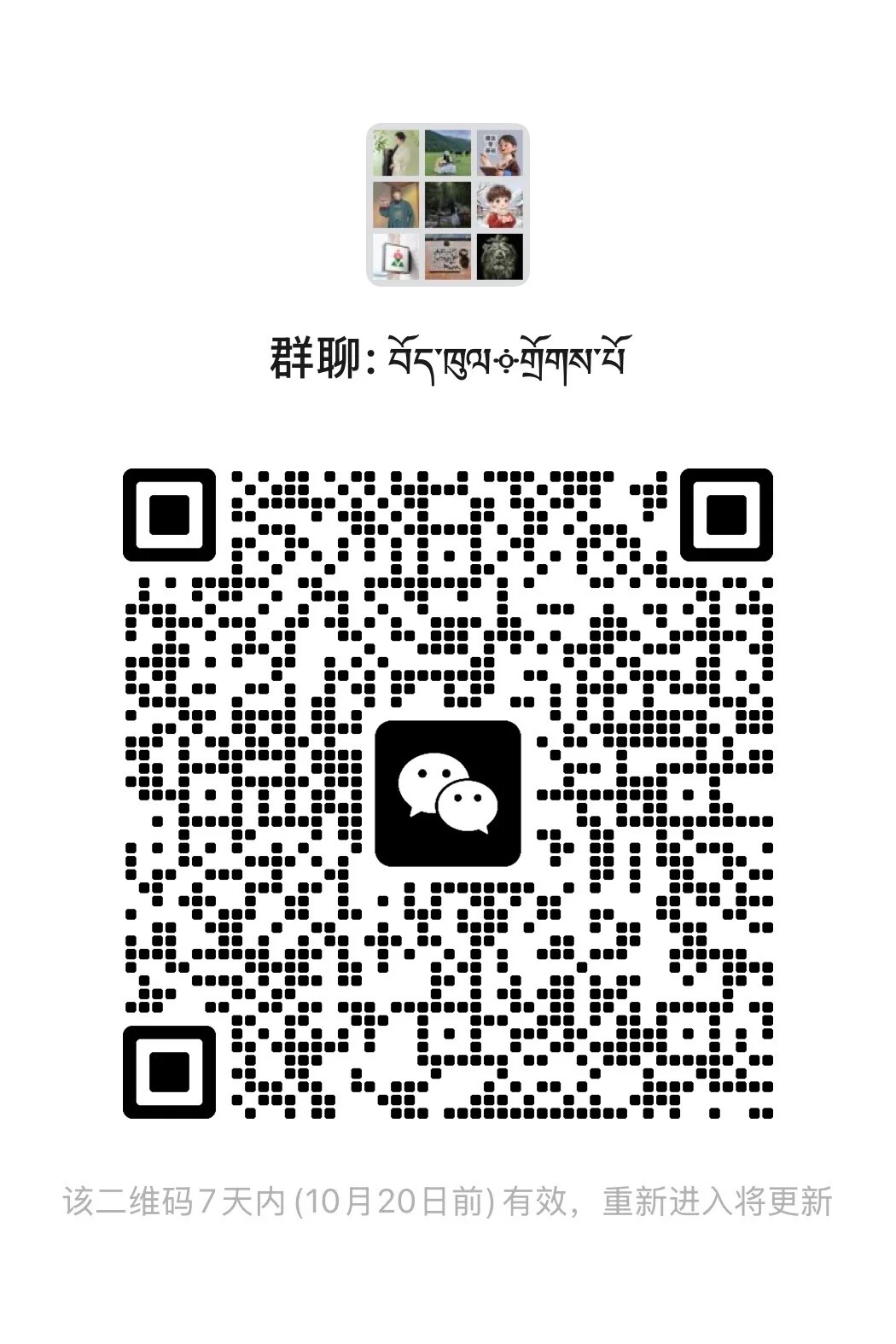 藏区~交友~聊天~搭子