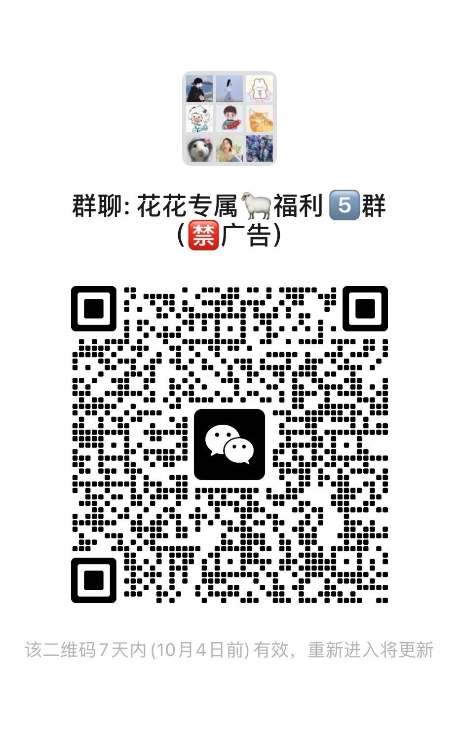 花花专属福利5群禁广告