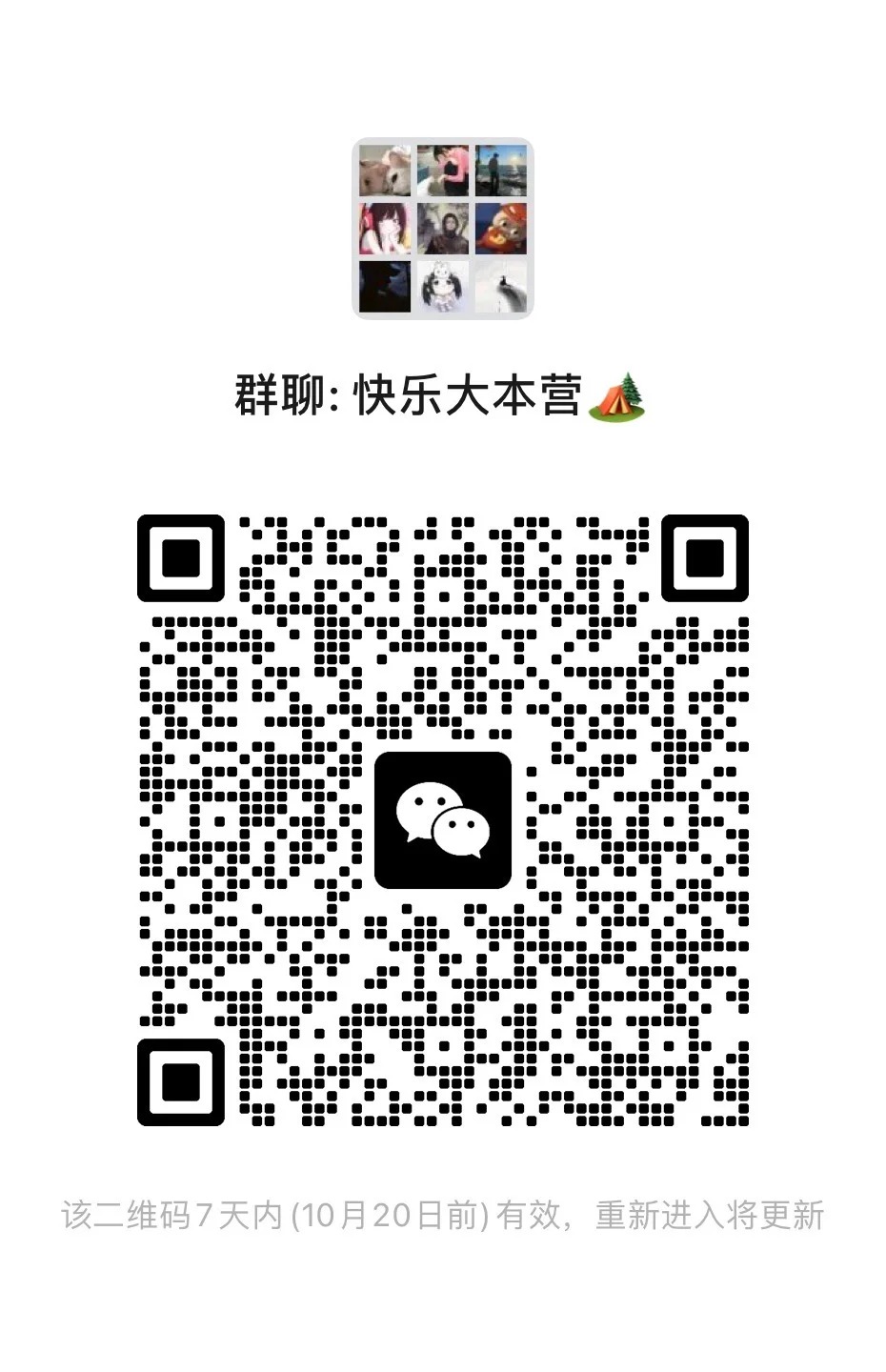 这个群有点东西 温州交友dd啊、