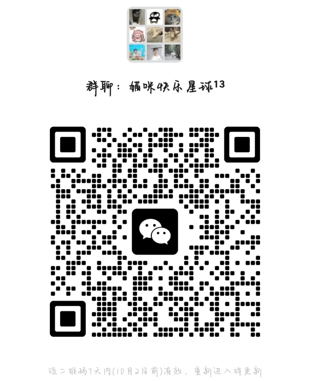 猫咪快乐星球13