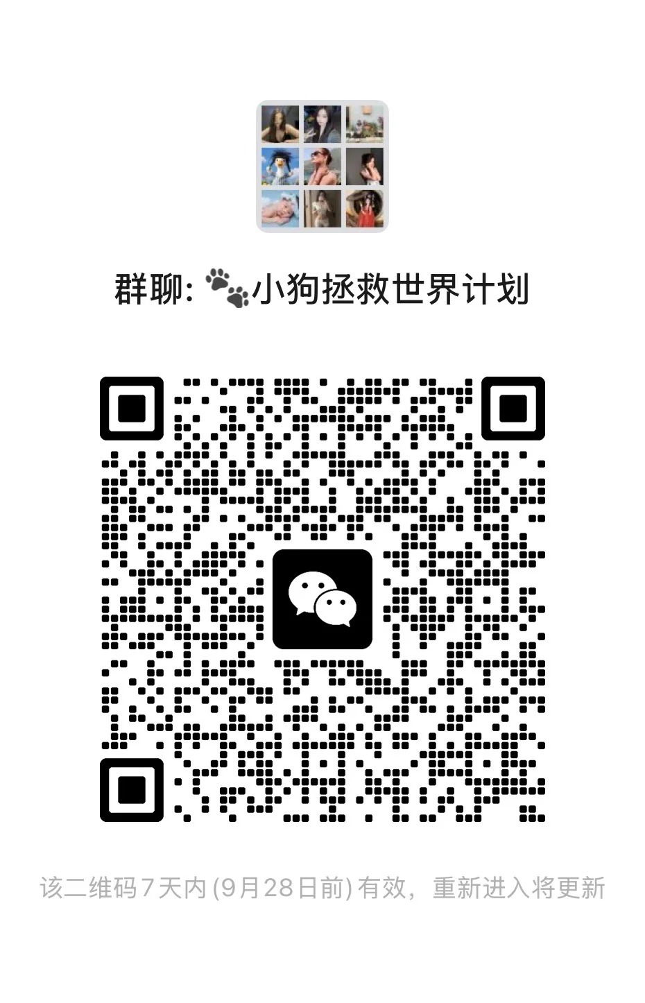 柳州中小型犬交流群