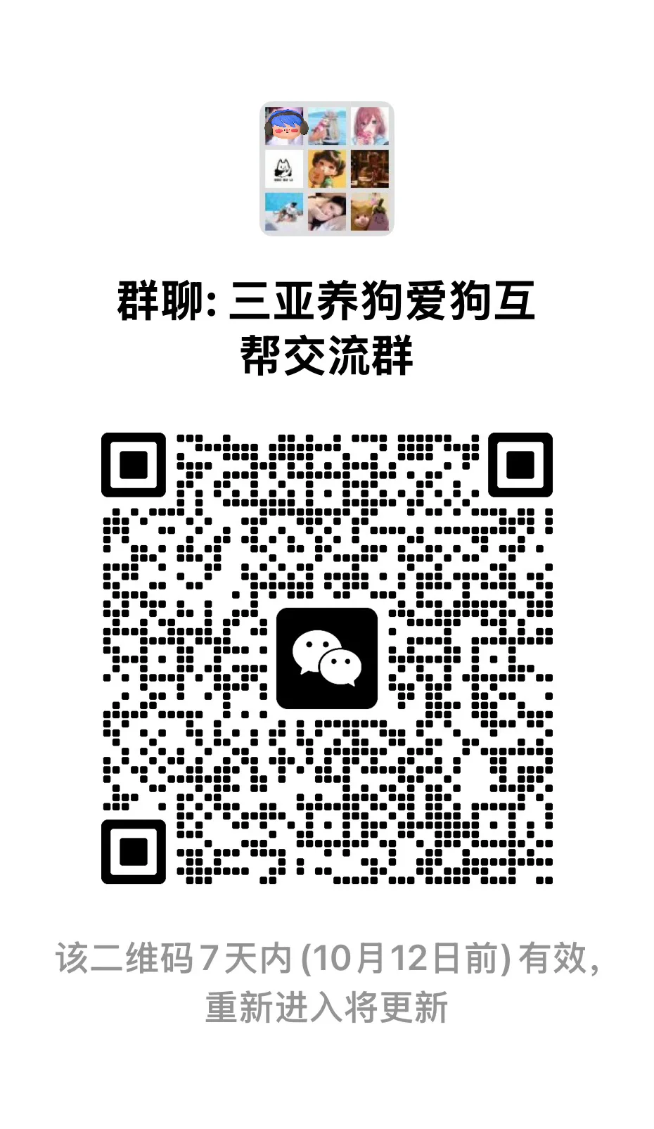 三亚养狗爱狗互帮交流群