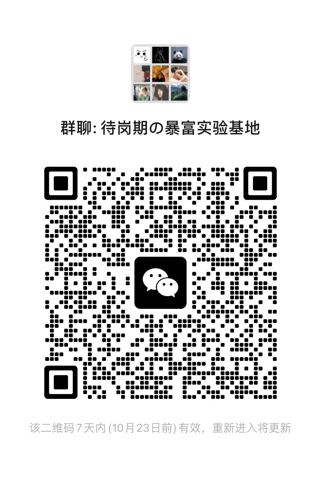 待岗期暴富实验基地