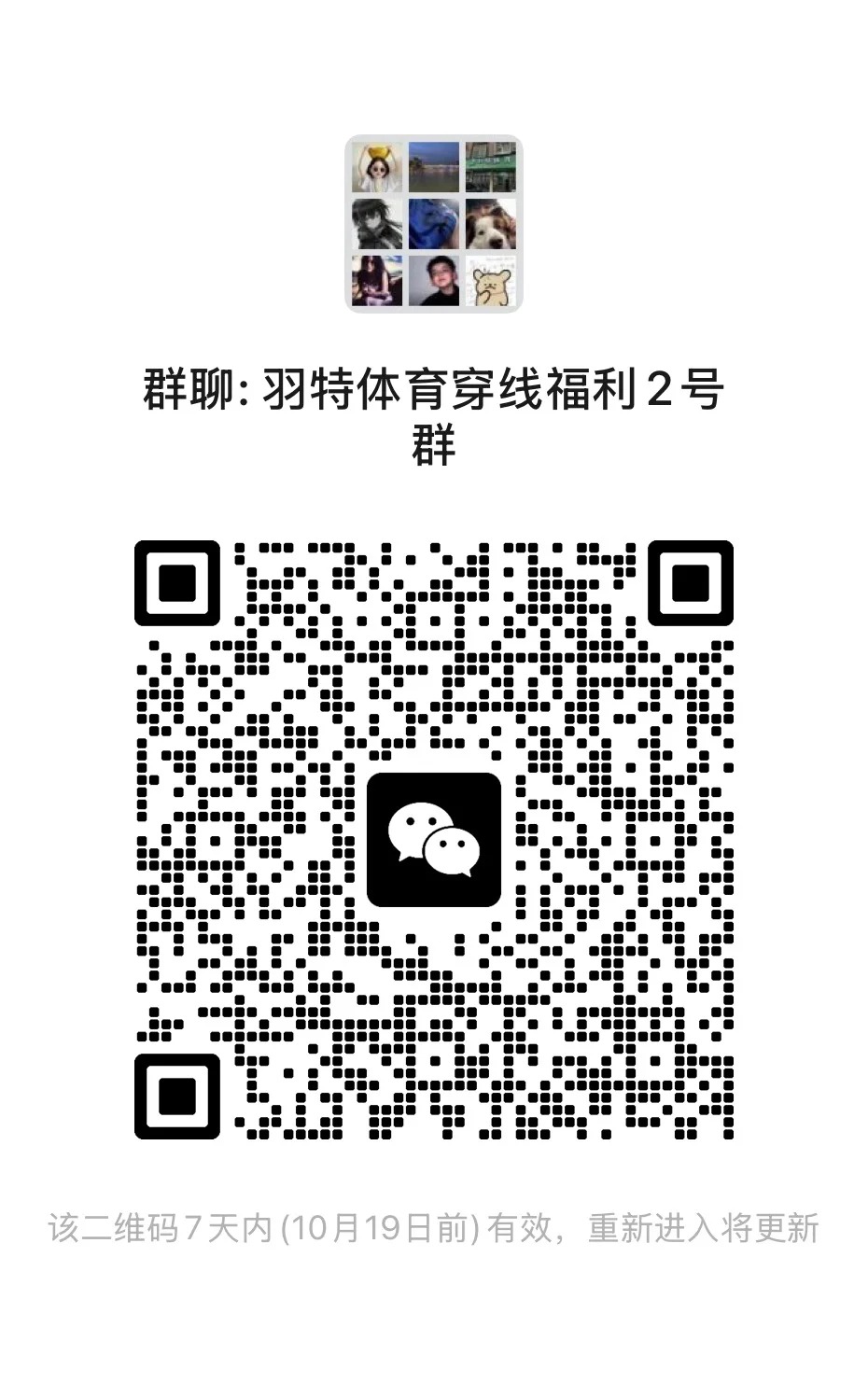 羽特体育穿线福利2号群