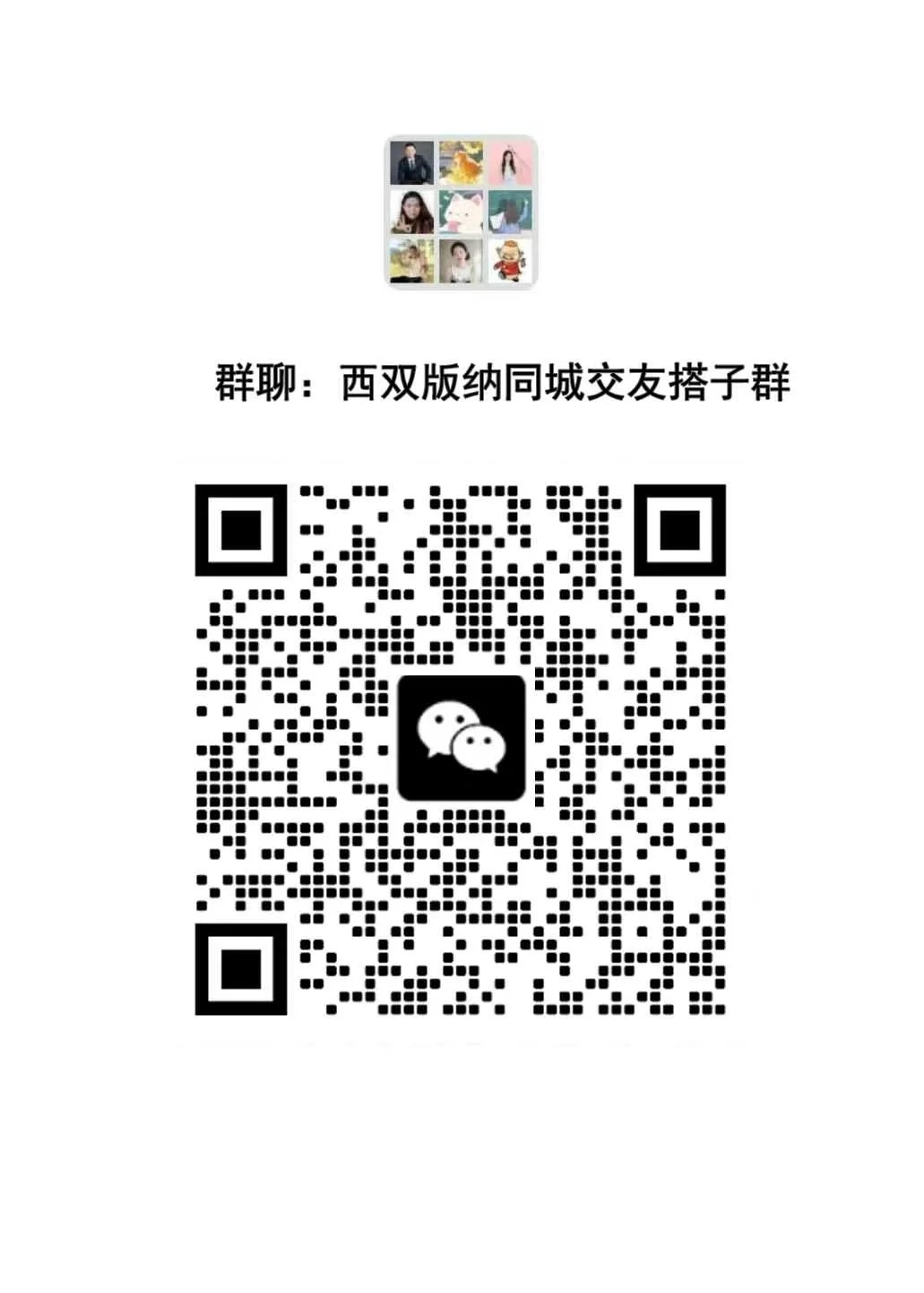 西双版纳同城交友聊天群｜一起探索热带雨林