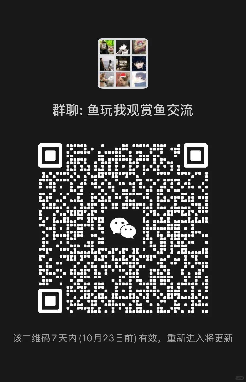 鱼玩我观赏鱼交流