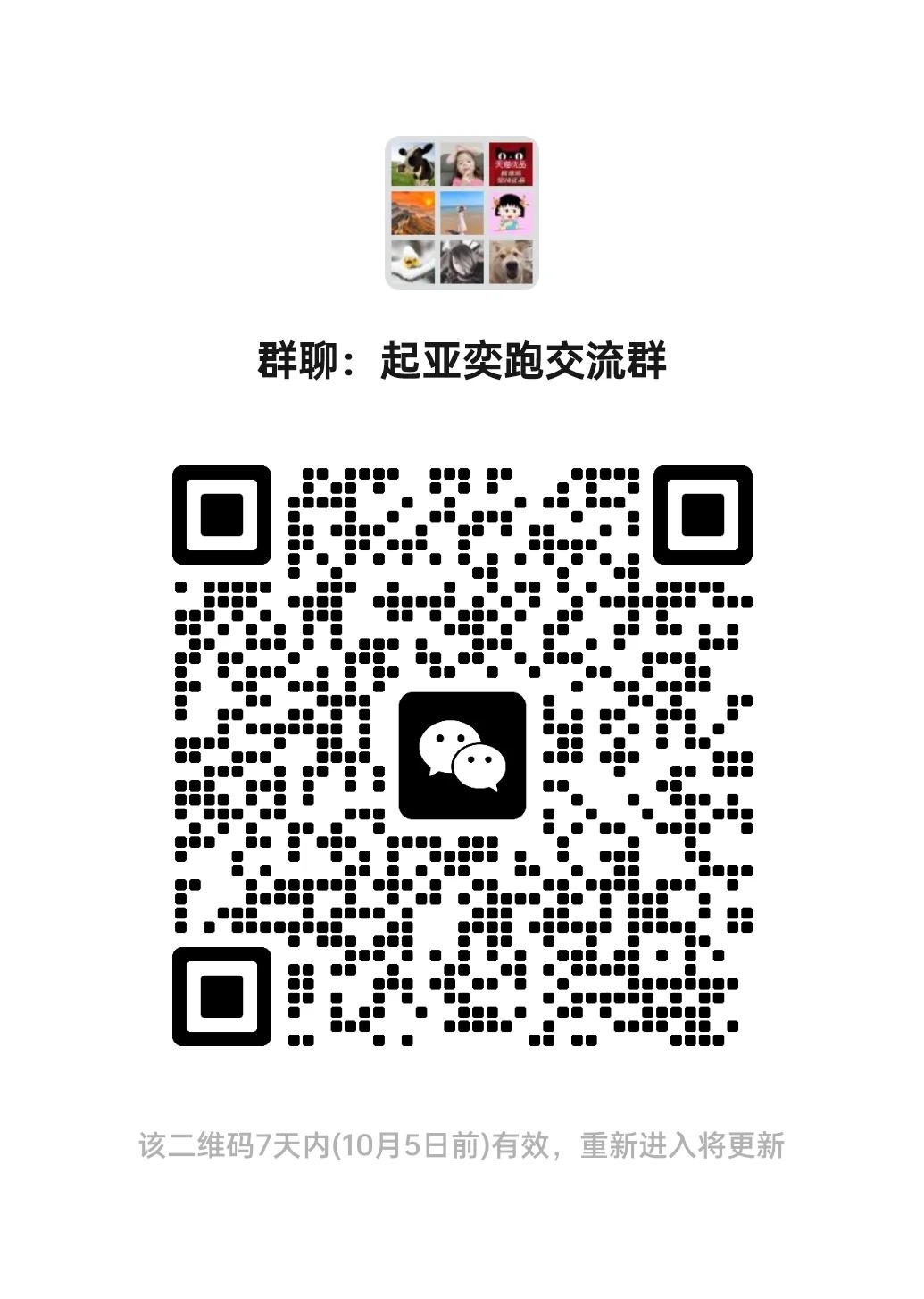 起亚奕跑交流群.