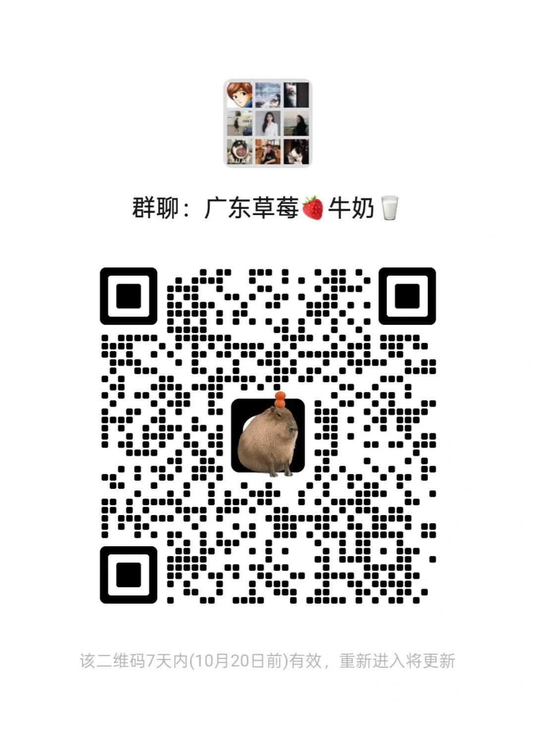 广东吹牛搭子dd 珠三角粵港澳大湾区交友群