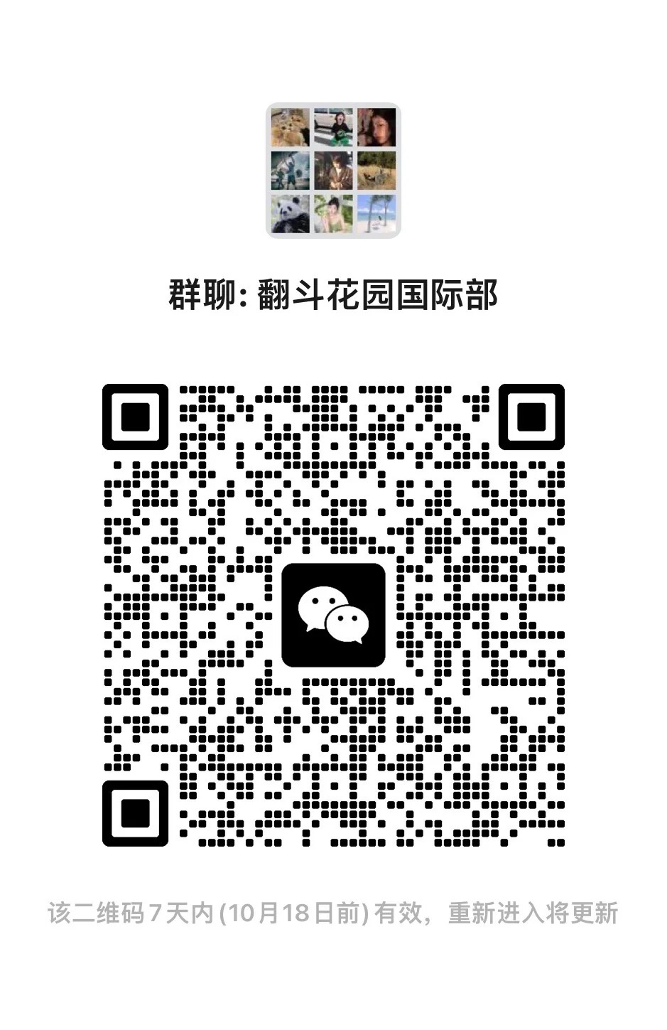 翻斗花园国际部