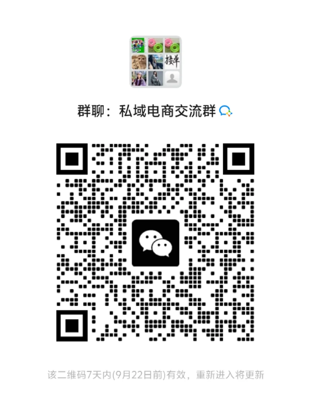 私域电商交流群