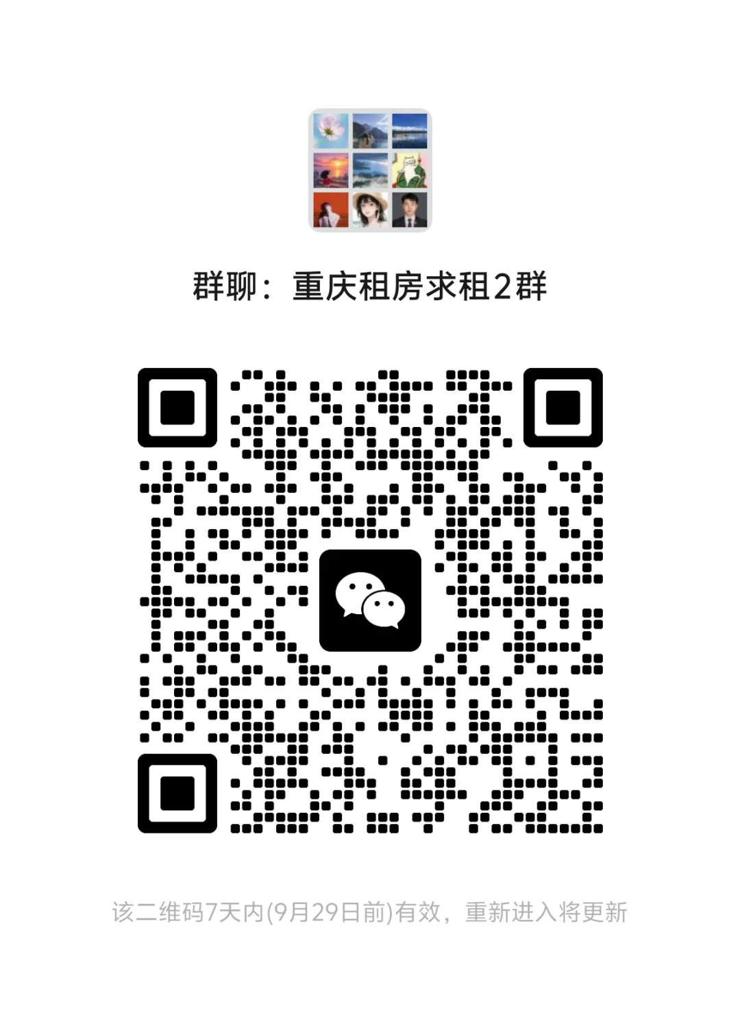 重庆租房求租2群