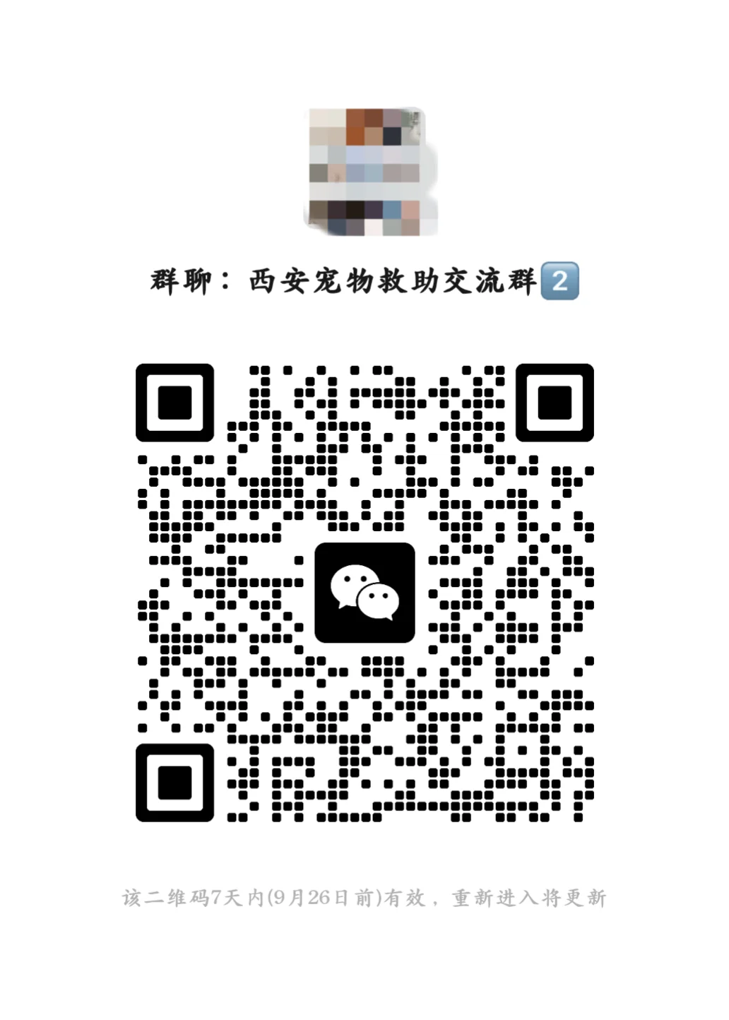 西安宠物救助交流群2