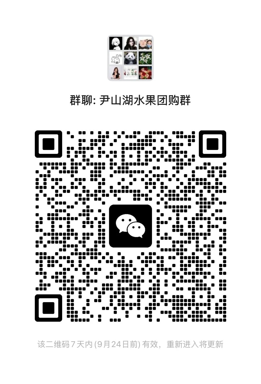 尹山湖水果团购群