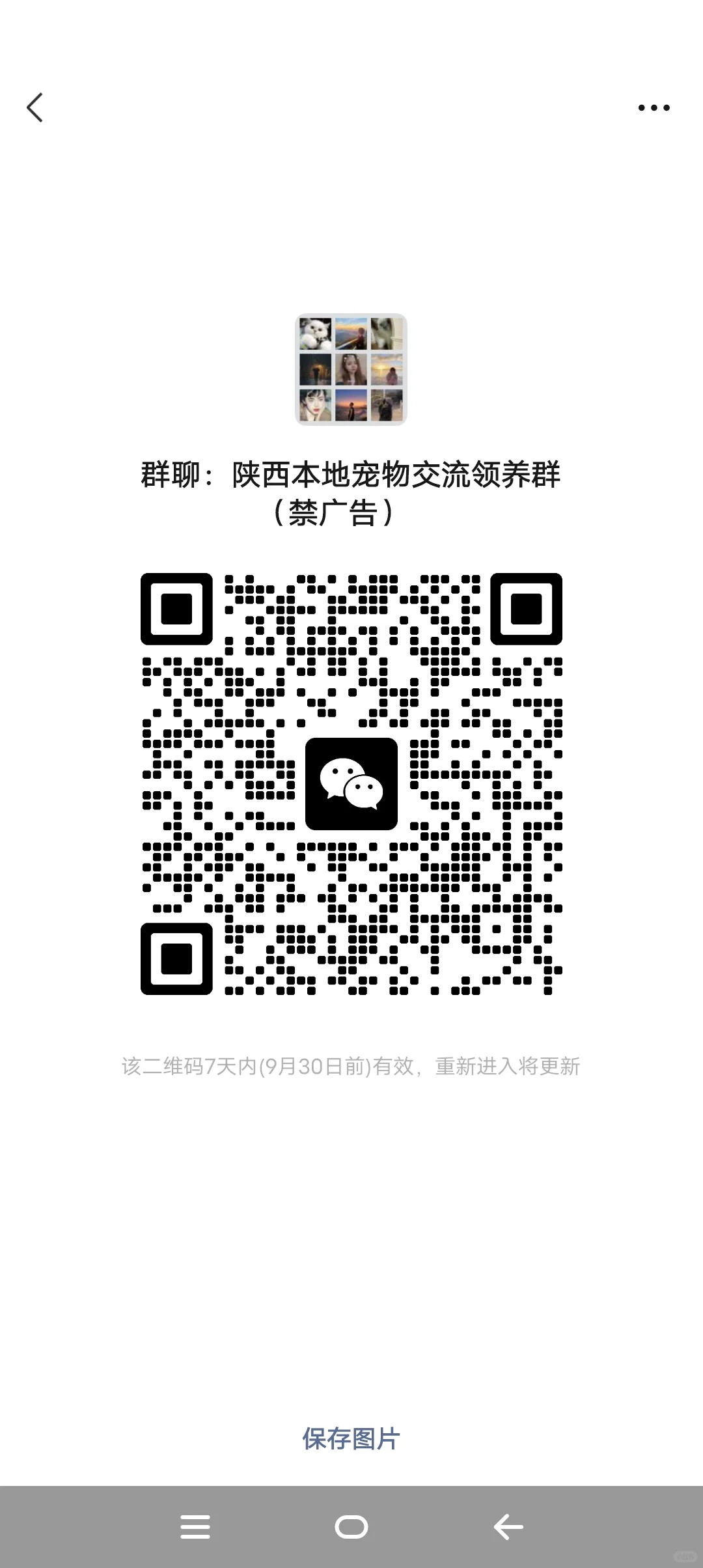 陕西本地宠物交流领养群