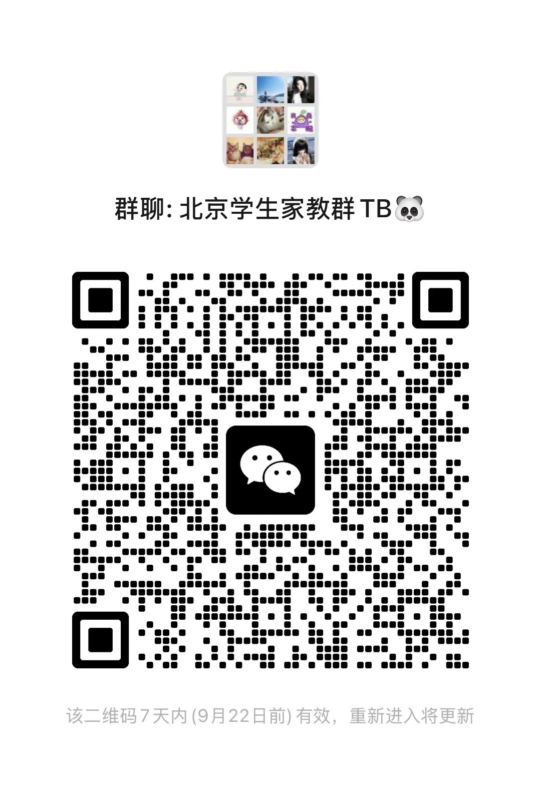 北京学生家教群TB