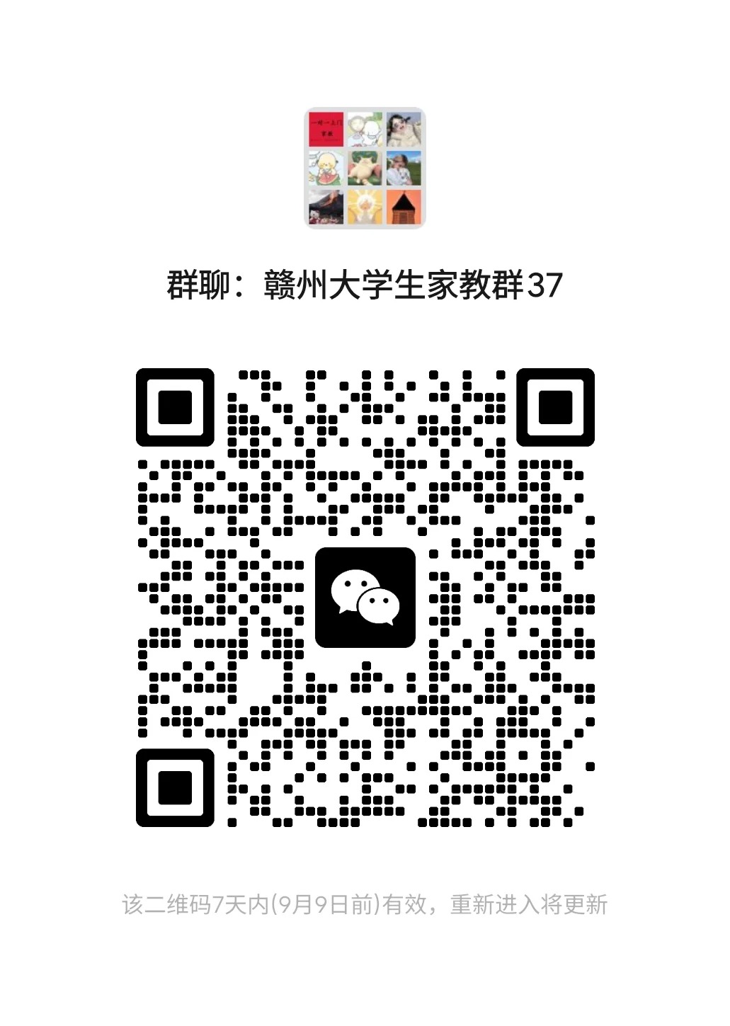 赣州家教群互助