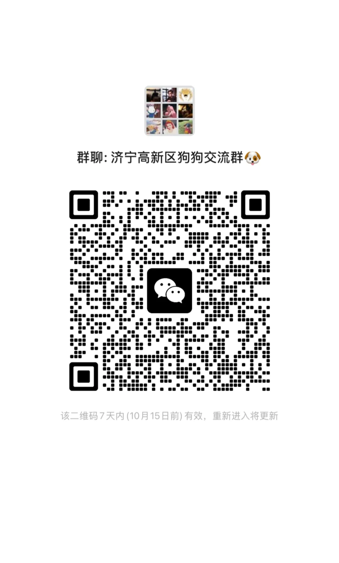 济宁高新区狗狗交流群