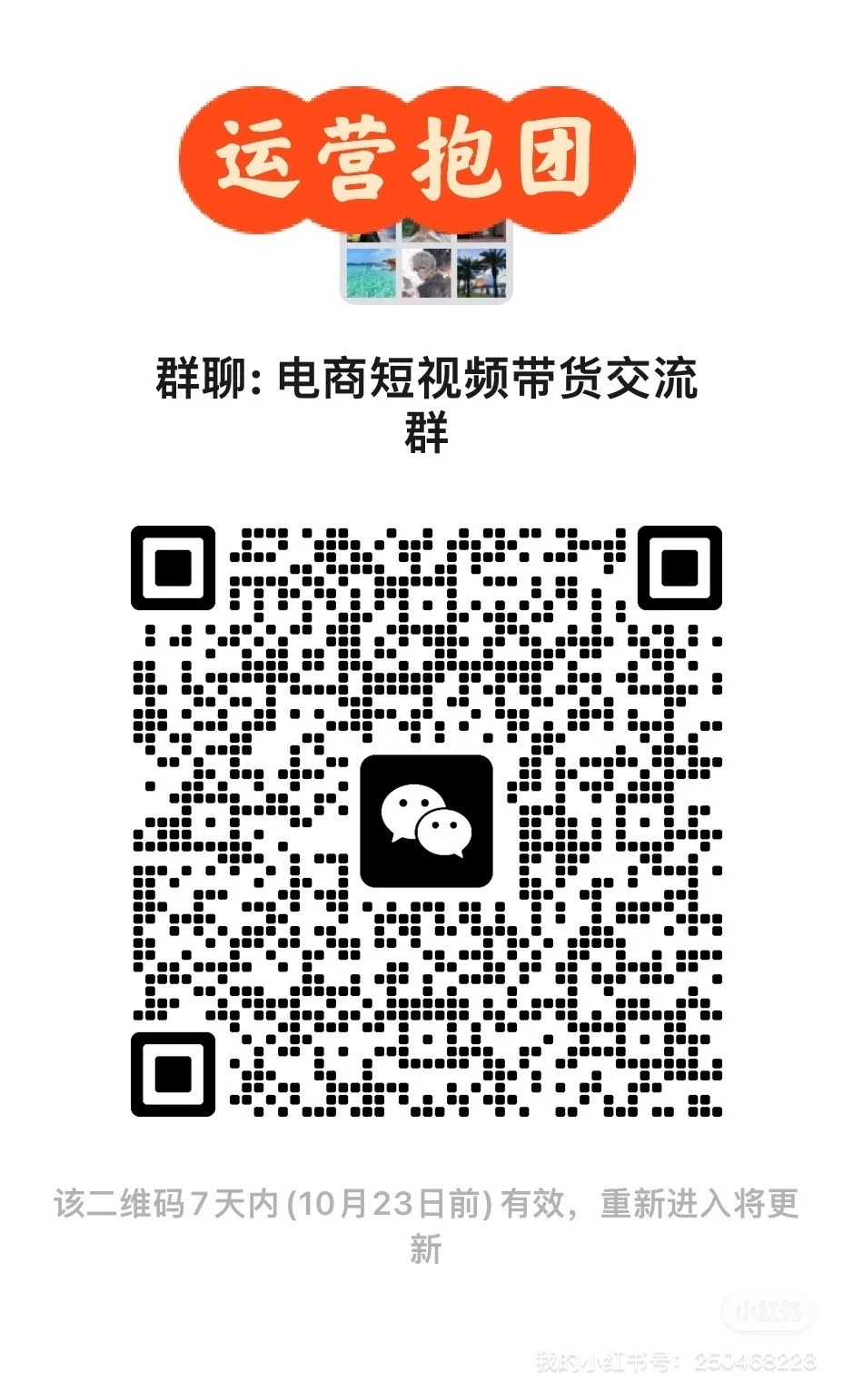 0经验做电商短视频带货？这个神仙交流群救了我的小白命！