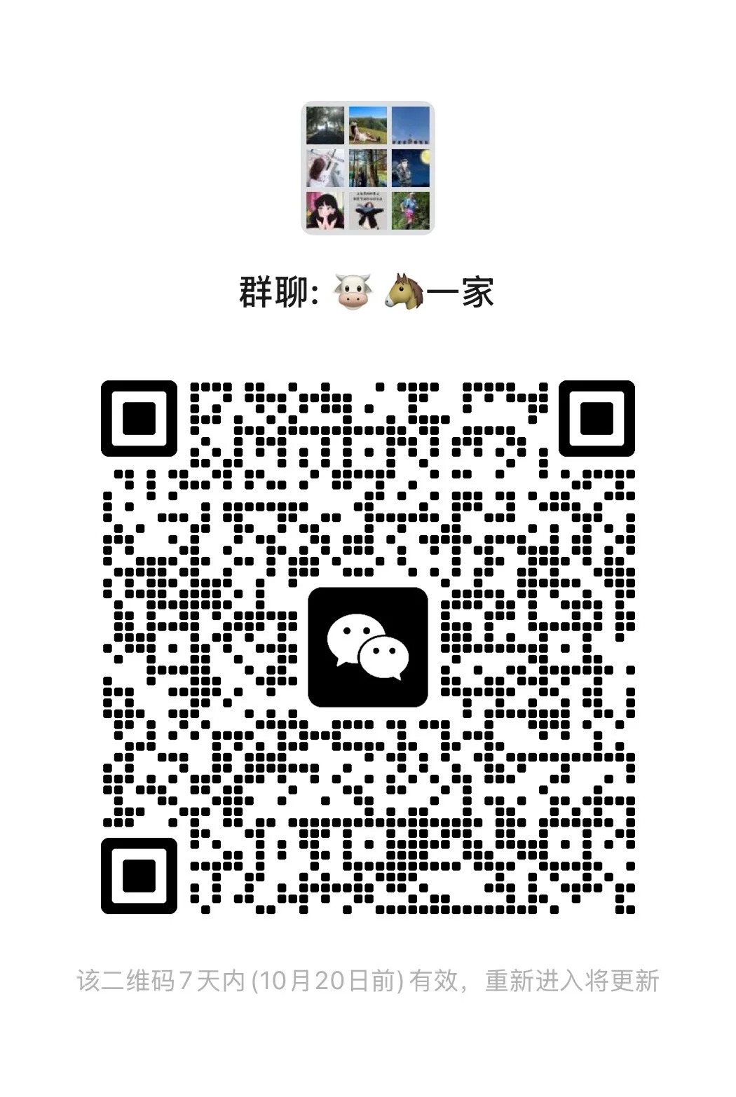 （广东局）入群不是终点，真诚才是起点！ 我们会严格审核身份、只为守护一份真诚交友的环境。