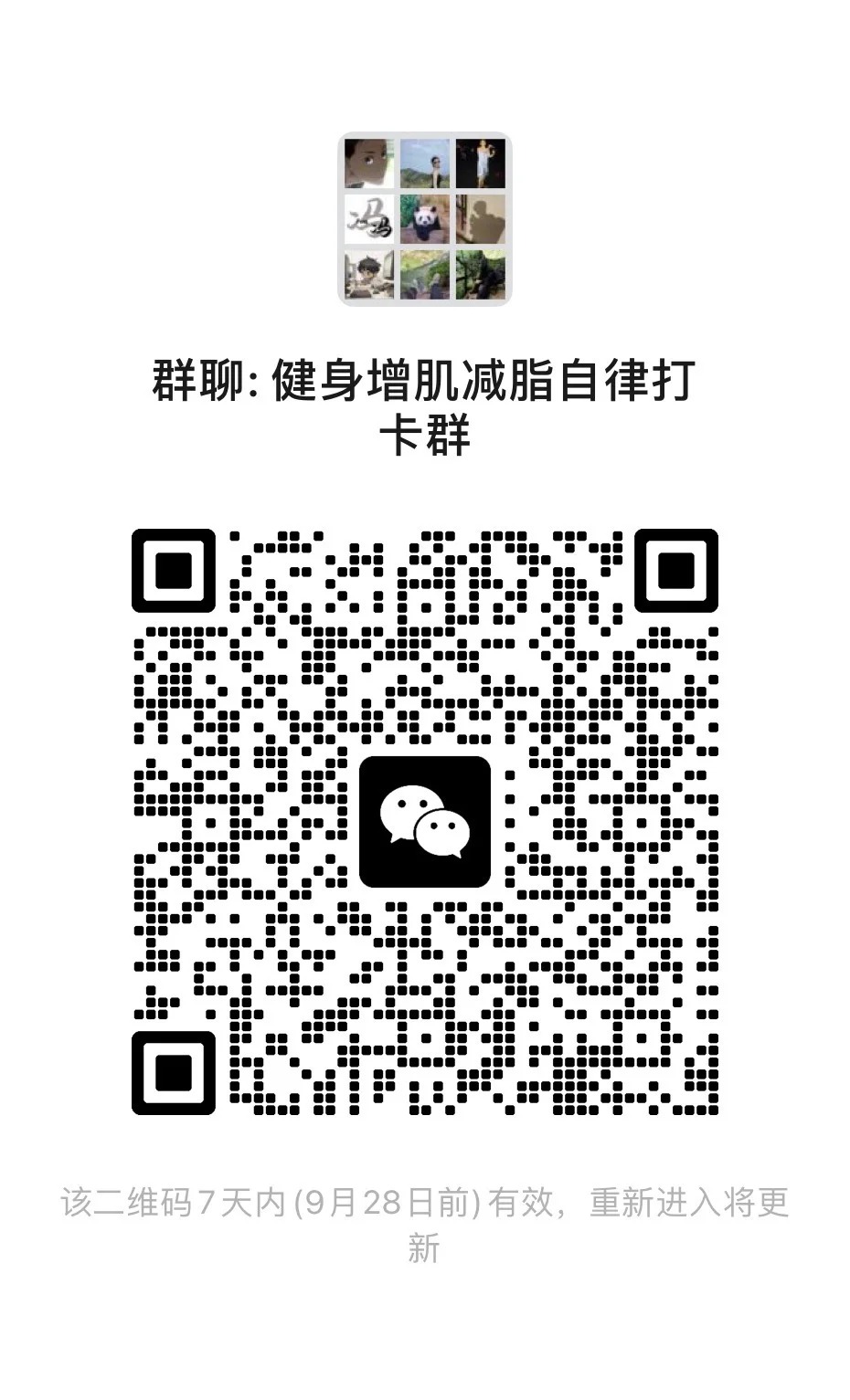 健身增肌减脂打卡群