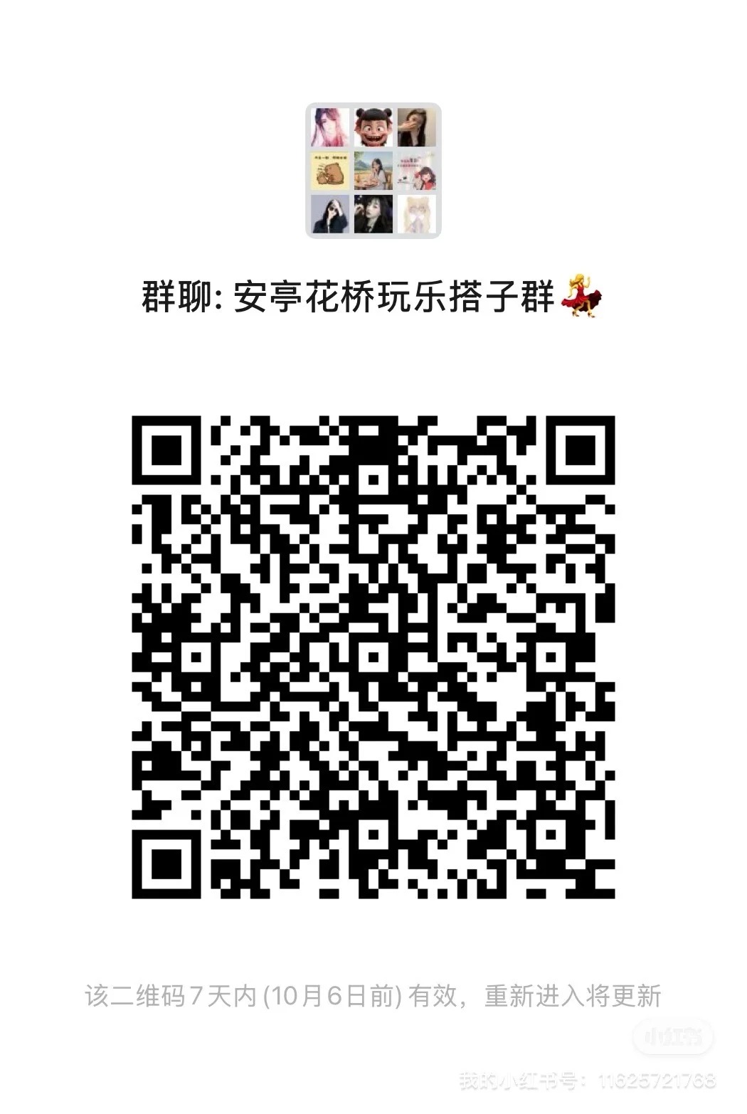 安亭花桥搭子群