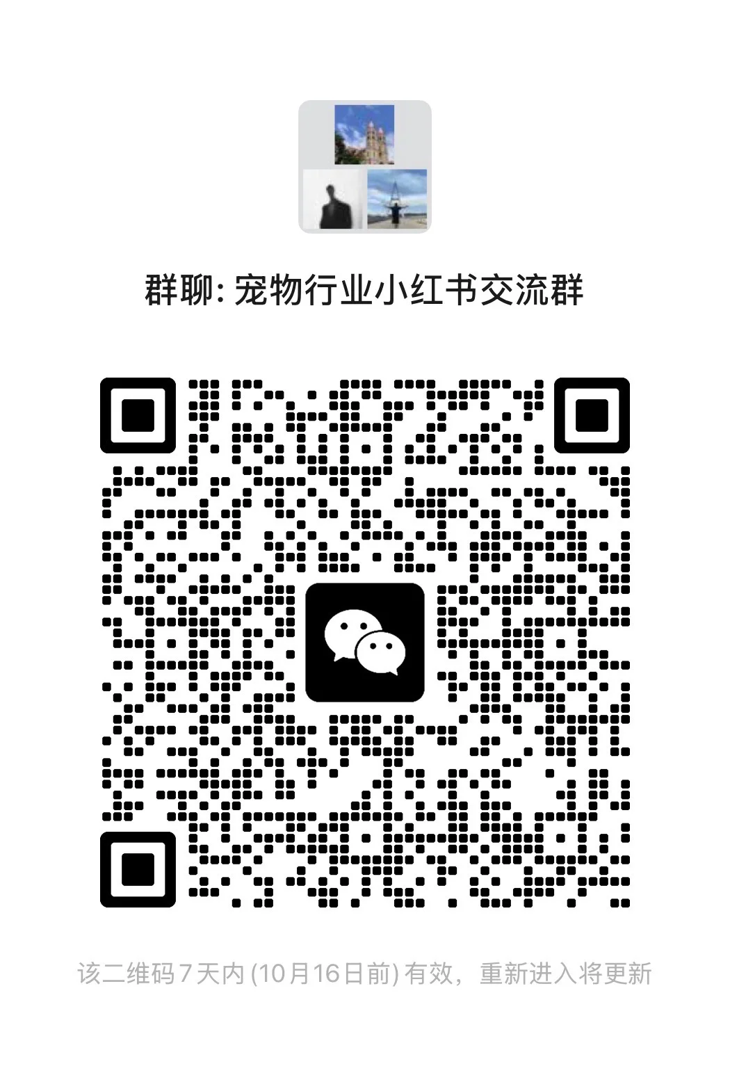 宠物行业小红书交流群